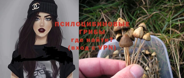 метадон Беломорск