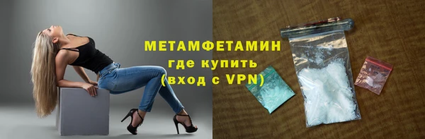 прущие грибы Белокуриха