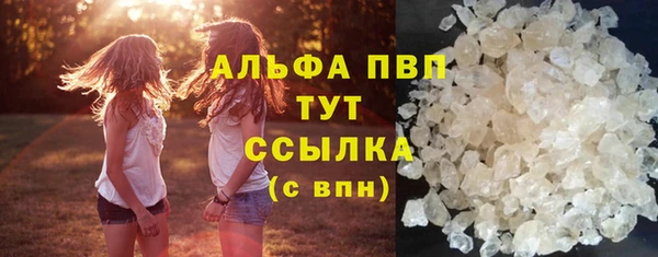 прущие грибы Белокуриха