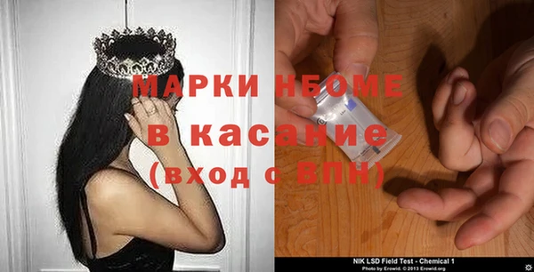 прущие грибы Белокуриха