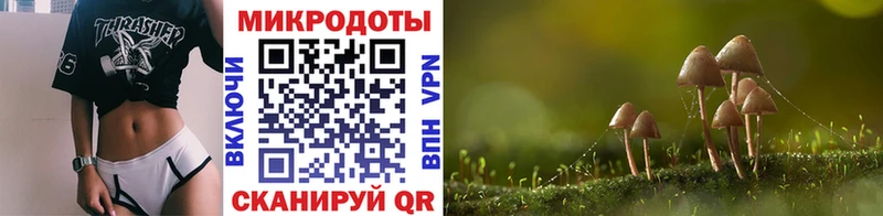 где купить наркоту  Клинцы  Псилоцибиновые грибы мицелий 